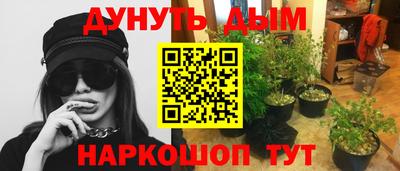 apvp Лесосибирск