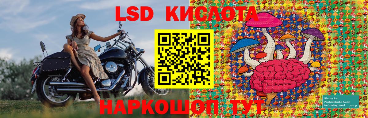 Ирбит  Марки N-bome 1500мкг  Марки N-bome 1500мкг  Марки 25I-NBOMe  Вход с VPN 