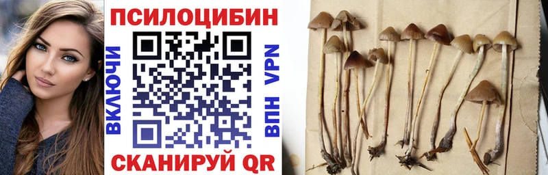хочу   Ирбит  mega ССЫЛКА  Псилоцибиновые грибы прущие грибы 