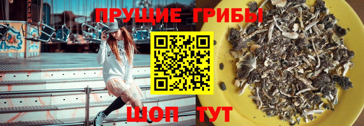 Галлюциногенные грибы прущие грибы Ирбит
