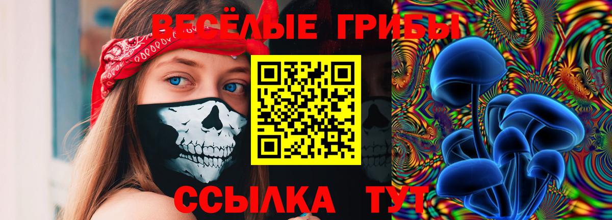 Псилоцибиновые грибы Psilocybe  Вход с VPN  Ирбит 
